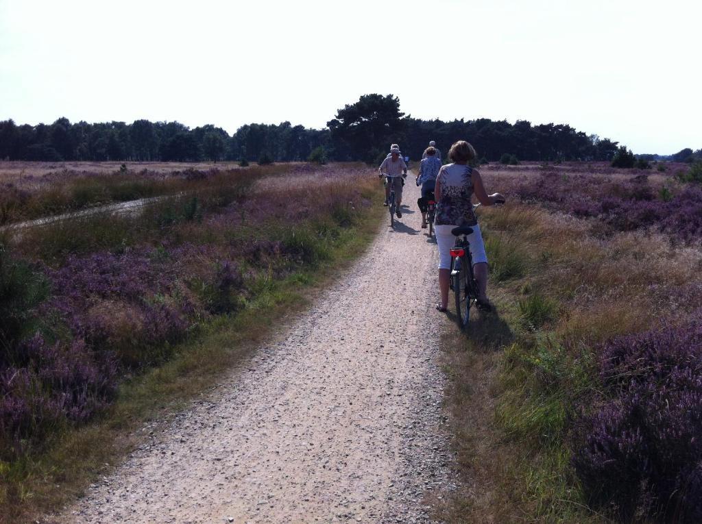B&B Leendershoeve In Heusden Asten Exteriör bild