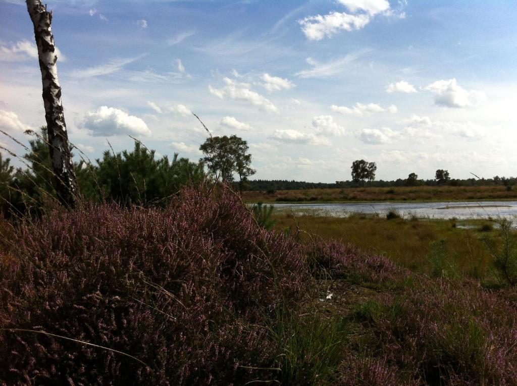 B&B Leendershoeve In Heusden Asten Exteriör bild