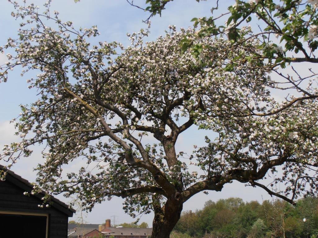 B&B Leendershoeve In Heusden Asten Exteriör bild